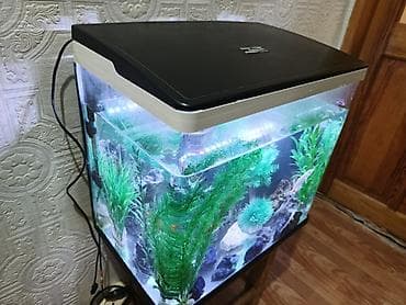 it dami satilir: Salam zavod akvarium sensirli işıq rengin dəyişir su qızdırıcı Atman — 1