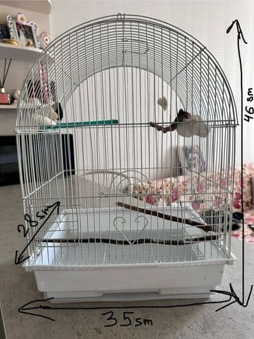 quş qəfəsi: Ağ rəngdə, qübbə formalı, metaldan hazırlanmış quş qəfəsi. Qəfəsin — 1