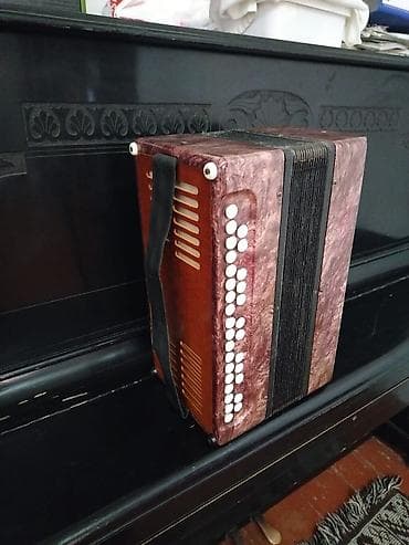 Velosiped aksesuarları: Akustik Akkordeon — 3