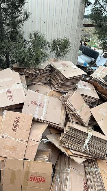 Kardon aliram list kardonda olar