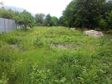 8 sot, Tikinti, Bələdiyyə