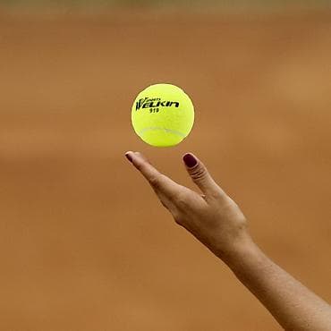 balaca top: Tennis topu,top, tennis,tenis,kort 🪪 şəxsi̇yyət vəsi̇qəsi̇ i̇lə — 2