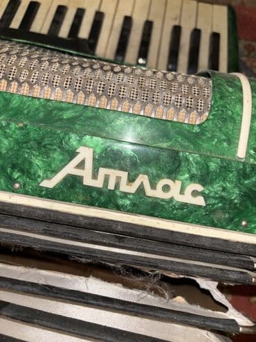 korg pa 5x: Akustik Akkordeon — 2