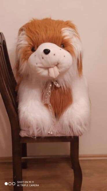 toy donlarl: Satilir.Yenidi — 3