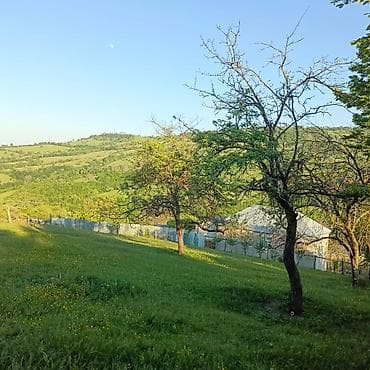 digah heyet evleri: Tikinti — 9