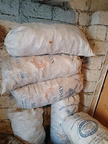 Quru çörək doğranmış corekdir 1 mesoku 5 m isdenilen sayda var unvan