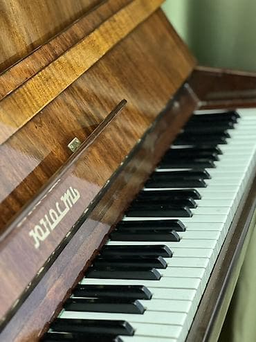gitara akustik: Piano – “Юность” (Yunost) markalı Xüsusiyyətlər: - Akustik upright — 5