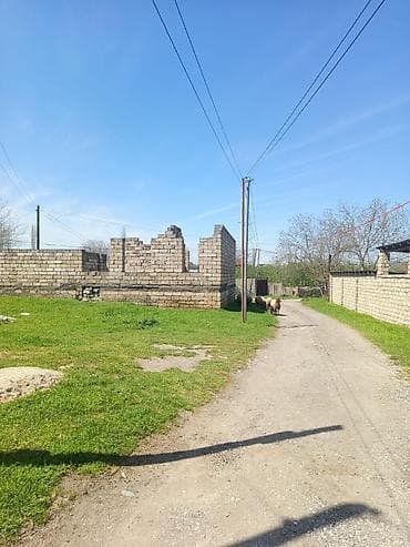 6 sot, Tikinti, Barter mümkündür