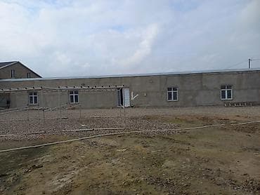 qaraj arenda: İcarəyə obyekt – anbar/istehsalat sahəsi - Ümumi sahə: iri ölçülü — 3