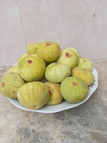 pendir: Məhsul: Təzə yaş əncir (açıq-yaşıl rəngli, iri dənəli) Təsvir: - — 2