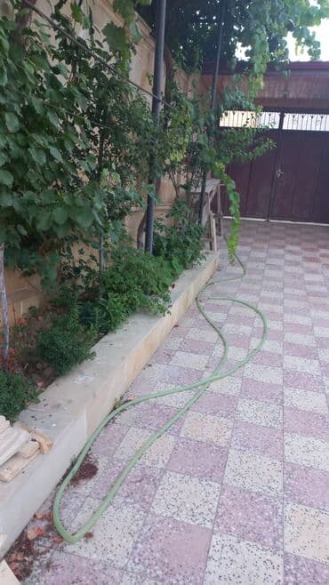 neftcilər kirayə evlər: Qaraçuxur qəs. 8 otaq, 220 kv. m, Kredit var, Orta təmir — 4