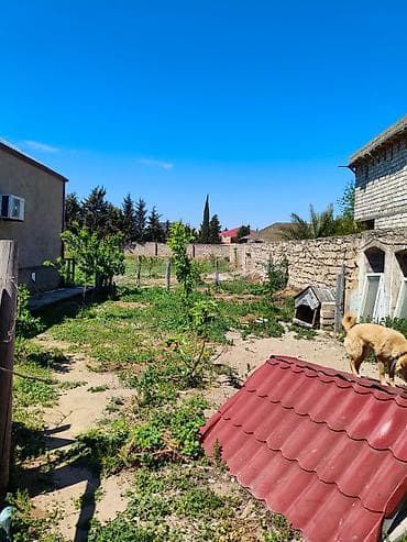 9 sot, Tikinti, Barter mümkündür, Kupça (Çıxarış)