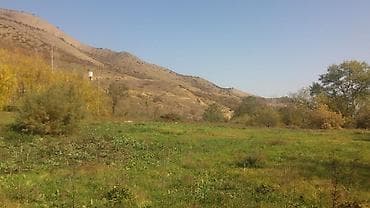 samaxi villa kiraye: 580 sot, Kənd təsərrüfatı, Makler, Kupça (Çıxarış) — 8