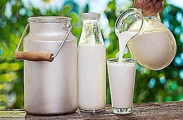 qida məhsulları: Təbii kənd südü - Məhsul: İnək südü - Mənşə: Açıq otlaqlarda — 2