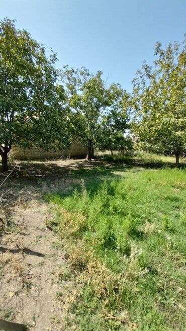 binə atçılıq torpaq satılır: 8 sot, Tikinti, Maklerlər narahat etməsin, Kupça (Çıxarış) — 8