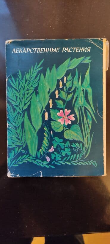 1 dollar neçe manatdir: Коллекционный товар. Смотрите фото. Открытки рецептов. каждая пачка по — 18