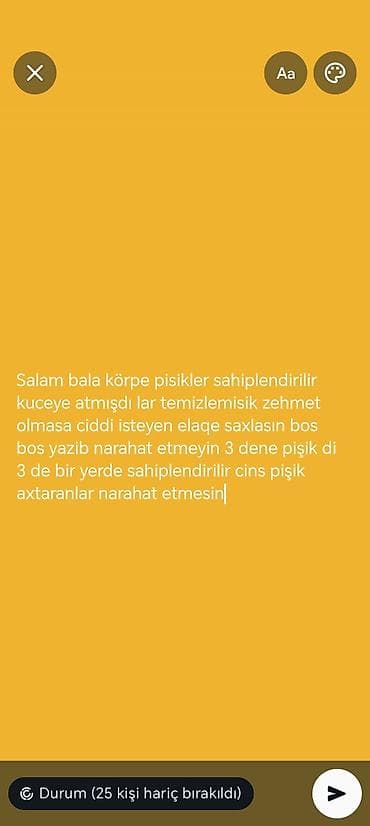 sfinks pişik qiymeti: Sahipləndirmə – 3 ədəd bala pişik - Küçəyə atılmış bala pişiklərdir — 1