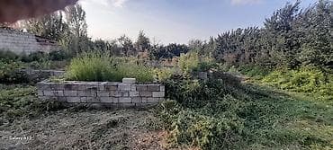 əhmədlidə torpaq: 6 sot, Tikinti, Mülkiyyətçi, Kupça (Çıxarış) — 8