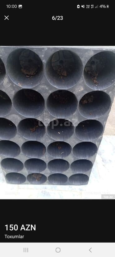 Otaq bitkiləri: Məhsul: Toxumlar – ALIZE F1 qarpız toxumu - Brend: KNOWN-YOU SEED — 2