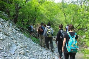 аренда офиса в бизнес центре баку: Qubanın mərkəzində fətəli xan prospekti/ arif hüseyinzadə 15 ünvanında — 7