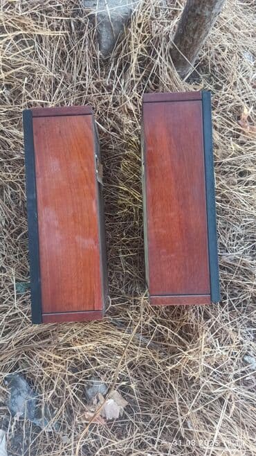 akustik sistem: Radiotehnika Kolonka, Növ - Akustik, rəng - Qara — 6