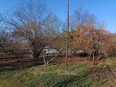 qebelede torpaq: 4 sot, Tikinti, Makler, Kupça (Çıxarış) — 6