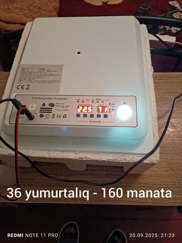 inkubator rus: 16liq - 110 manat 36 liq - 160 manat Üç dəfə istifadə olunub və — 5