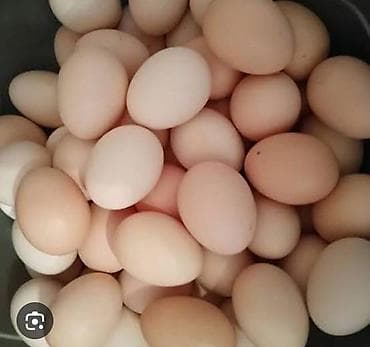 Məhsul: Təbii toyuq yumurtası Təsvir: - Açıq krem və bej rəng