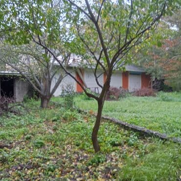 что такое şahdağ i̇stirahət evi nabran: 8 комнат, 1000 м², Средний ремонт — 20