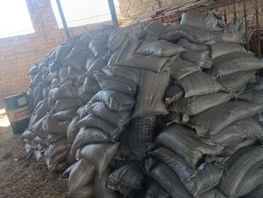 1 eded qizil gul qiymeti: Torf gubresinn satişi torf balaken 2.50 300den cox alana catrlma — 6