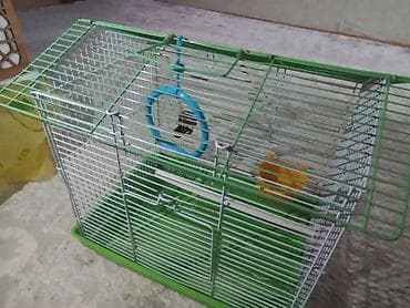 Qəfəslər: 2 ci Əl Quş qəfəsi – kiçik və orta ölçülü ev quşları üçün - Rəng — 5