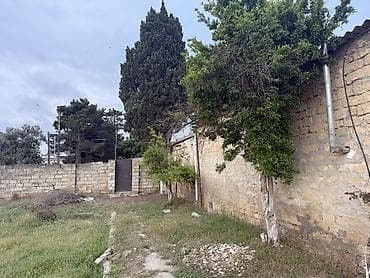 ucuz obyekt satilir: 17 sot, Tikinti, Kupça (Çıxarış) — 5