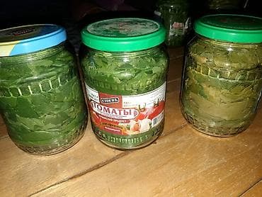 Sade ag wane yarpaqlari tuklu iri deyil. Bir banka 5 azn. Cubugu ile lalafo.az -da Sade ag wane yarpaqlari tuklu iri deyil. Bir banka 5 azn. Cubugu ile