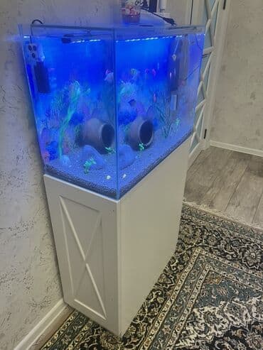 Gəmiricilər: Akvarium-şkaf, Balıqlarla birlikdə, 90 l, Ödənişli çatdırılma — 1