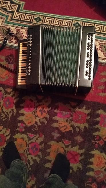 sintezator va 7: Akustik Akkordeon, İşlənmiş — 2