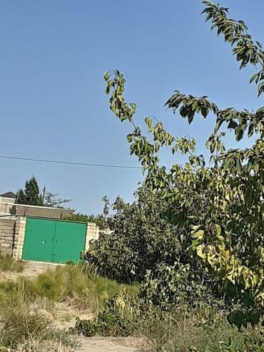 xacmaz mal bazari: 6 sot, Tikinti, Maklerlər narahat etməsin — 4