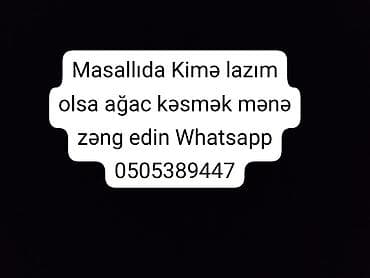 kafel metlax usta isi: Xidmət: Masallı rayonunda ağacların kəsilməsi Təsvir: - Həyət və bağ — 1