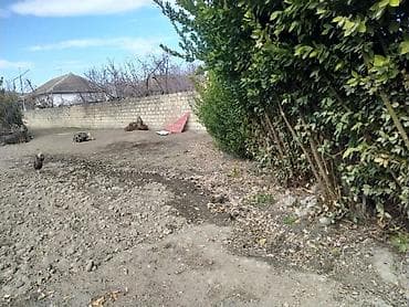 bine torpaq satilir: 6 sot, Tikinti, Mülkiyyətçi, Kupça (Çıxarış) — 5