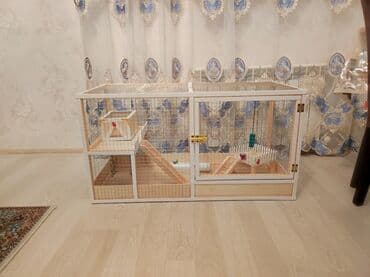 ag dovsan: Dovşan,hamster,şinşila,bildirçin,cücə,xamyak,pişik,quş ve s kimi ev — 1