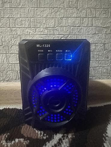 ML-1325 portativ akustik kolonka - İşıqlı dinamik: Ön paneldə rəng