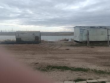 torpaq razin: Kənd təsərrüfatı — 5