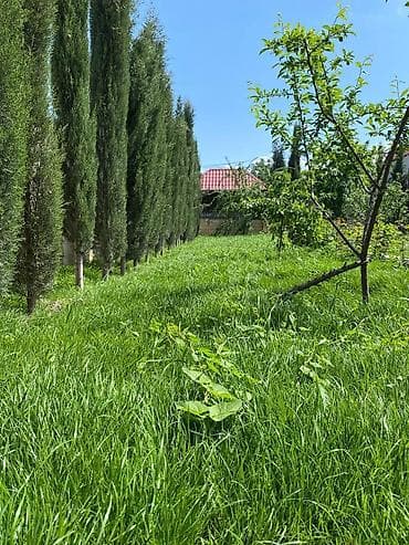 faizsiz daxili kreditle evler: 476 kv. m, 9 otaq — 5