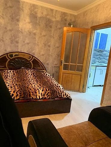 ramanida kiraye evler 2020: Tecili Sabuncu kecidine yaxin 1 otaqli adelni heyet evi kiraye verilir — 8