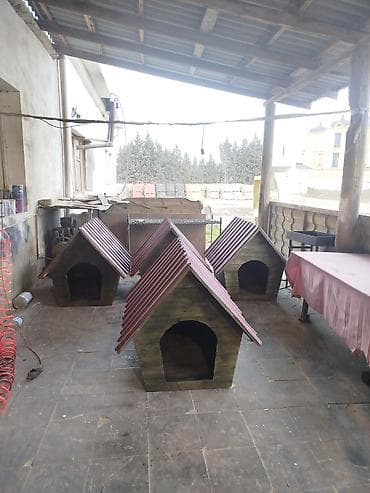 it domikleri: It yuvaları.sifarişdə qəbul olunur. 1 metrlikdi.böyük ölçülü itlər — 6