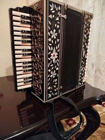 korg pa 1x: Гармонь, Акустический — 2