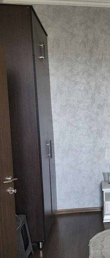 2 qapılı, Qəhvəyi, Taxta, Açılan, Düz dolab