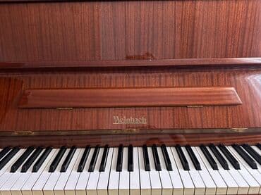 русский язык 8 класс методическое пособие e derslik: Пианино, Weinbach, Акустический — 2