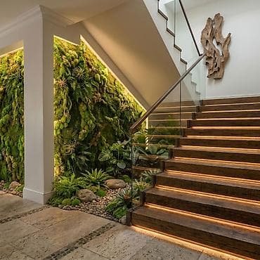 evlerin temiri ve dizayni: Yaşıl Dekor. Evlərin, ofislərin təbii və suni bitkilərlə bəzədilməsi — 1