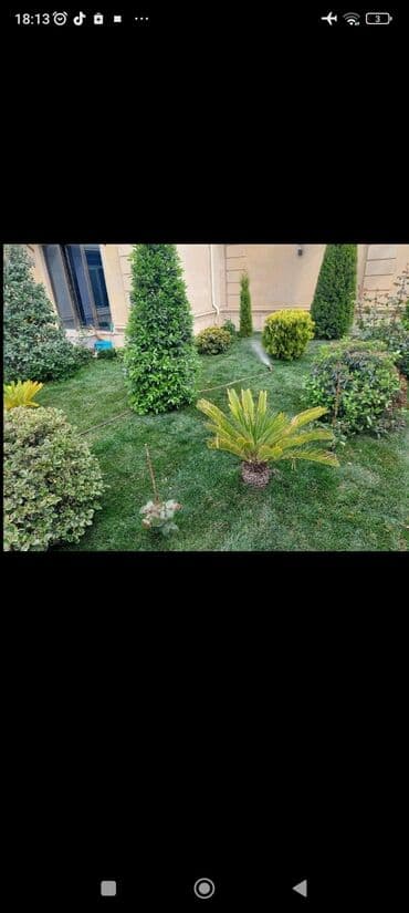 Tikinti ixtisasları: Bağban, 29 il, 6 ildən artıq təcrübə — 7