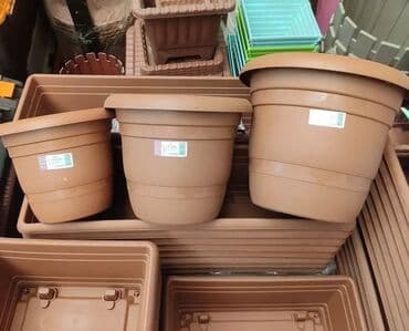 Digər bitkilər: Dibçək. Müxtəlif ölçü və modellər mövcuddur. Fərqli qiymətlərdədir — 19